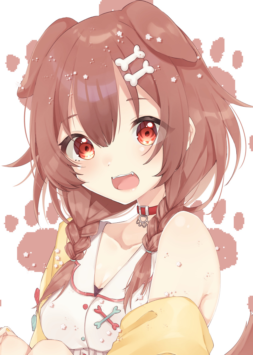 1girl :d abe_suke absurdres animal_ears bangs bare_shoulders blush bone_hair_ornament braid breasts brown_hair cartoon_bone cleavage collar collarbone collared_dress commentary_request dog_ears dog_girl dog_tail dress eyebrows_visible_through_hair fangs hair_between_eyes hair_over_shoulder highres hololive inugami_korone jacket knees_up long_hair looking_at_viewer medium_breasts nail_polish off_shoulder open_clothes open_jacket open_mouth red_collar red_eyes sitting sleeveless sleeveless_dress smile solo tail twin_braids upper_body virtual_youtuber white_background white_dress yellow_jacket yellow_nails
