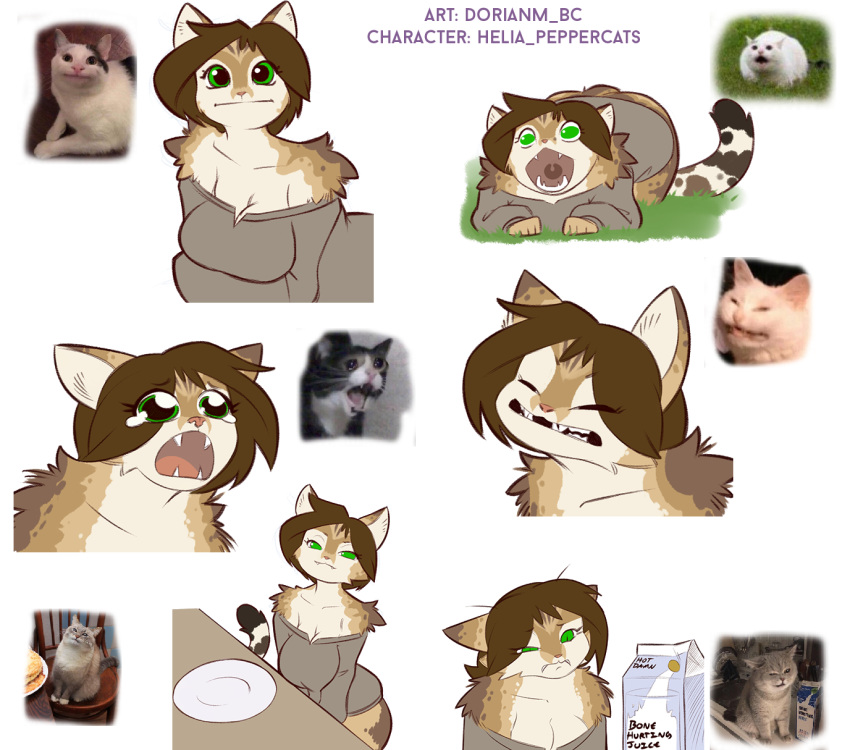 2019 anthro clothed clothing digital_media_(artwork) domestic_cat dorian-bc felid feline felis female fur hair helia_peppercats_(wrinklynewt) hi_res looking_at_viewer mammal memes sweater topwear