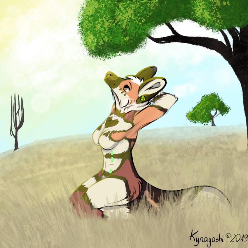 1:1 2019 african_wild_dog anthro breasts canid canine cloud digital_media_(artwork) ear_piercing female fur grass hi_res kynayashi mammal nature nipples outside piercing plantigrade presenting savanna sky smile solo sun tree