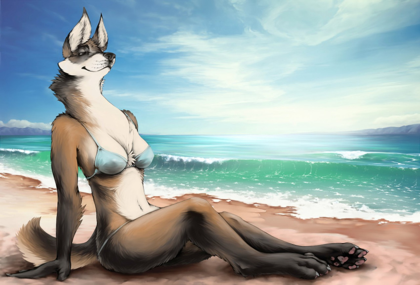 2017 4_toes anthro arm_support beach bikini biped black_nose bra breasts brown_body brown_fur canid canine canis chest_tuft claws clothing cloud day detailed detailed_background digital_drawing_(artwork) digital_media_(artwork) domestic_dog female fingers fluffy fluffy_tail fur horizon looking_away mammal nipple_outline on_ground outside pawpads paws pinup pose relaxing sea seaside side_view sitting sky smile solo sterr swimwear three-quarter_view toes topwear tuft underwear water white_body white_claws white_fur