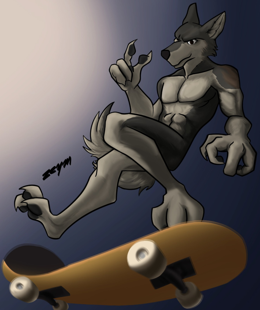 2019 abs anthro biceps brown_eyes canid canine canis claws digital_media_(artwork) fur hi_res looking_at_viewer male mammal muscular muscular_male nude pawpads paws pecs simple_background skate_board skating smile solo wolf zeym