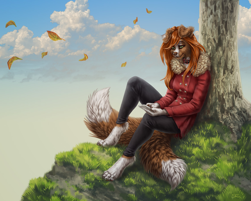 2019 4_toes 5:4 5_fingers anthro barefoot canid canine canis clothed clothing day detailed_background digital_media_(artwork) digitigrade domestic_dog eyebrows eyelashes female fingers green_eyes mammal outside sabretoothed_ermine sitting sky smile solo toes
