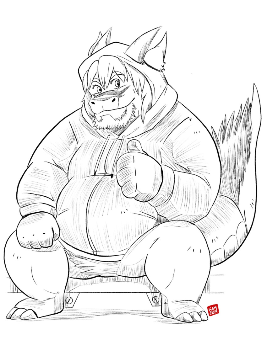 2019 anthro belly clothing dragon hi_res hoodie humanoid_hands kamui_shirow male overweight overweight_male sitting solo topwear