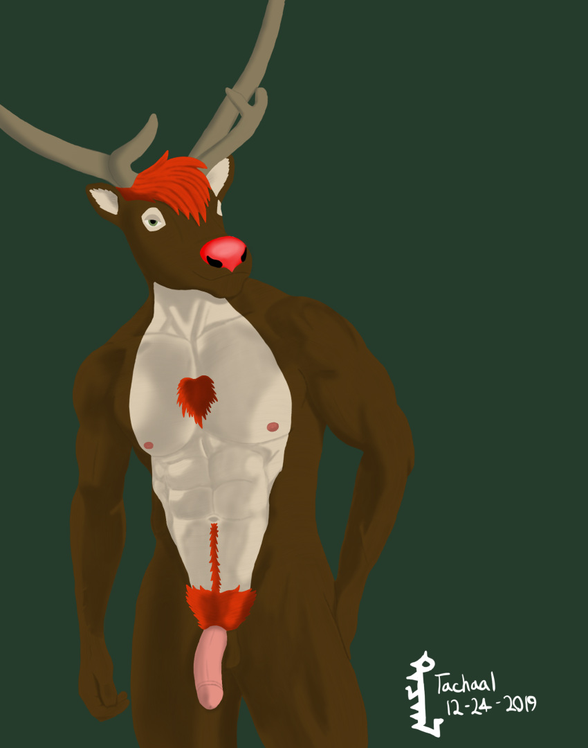 body_hair capreoline cervid chest_hair christmas happy_trail hi_res holidays humanoid_penis male mammal muscular penis reindeer rudolph_the_red_nosed_reindeer solo tachaal