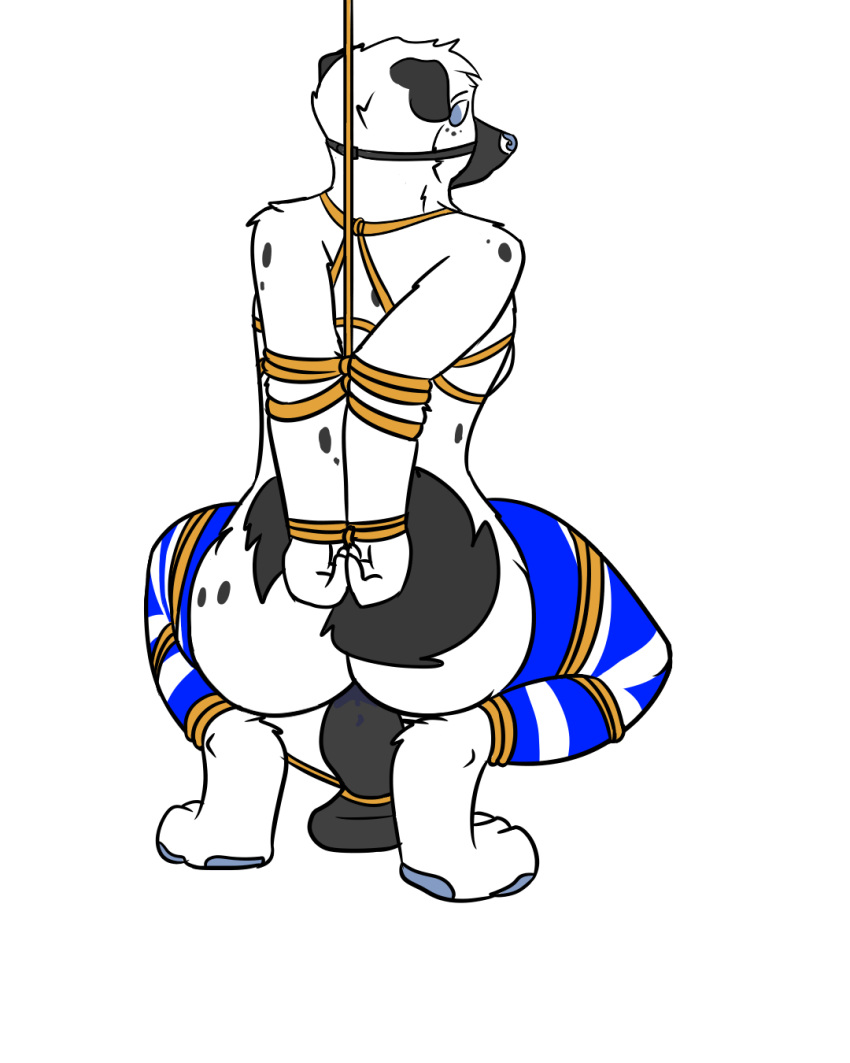 2019 anthro arms_tied bdsm blue_eyes blue_nose bondage bound breasts canid canine canis dildo domestic_dog exposed_breasts female frogtied gag gagged hands_behind_back hands_tied hi_res legs_tied mammal muzzle_(object) muzzle_gag muzzled penetration rope rope_bondage sex_toy thatguyssins