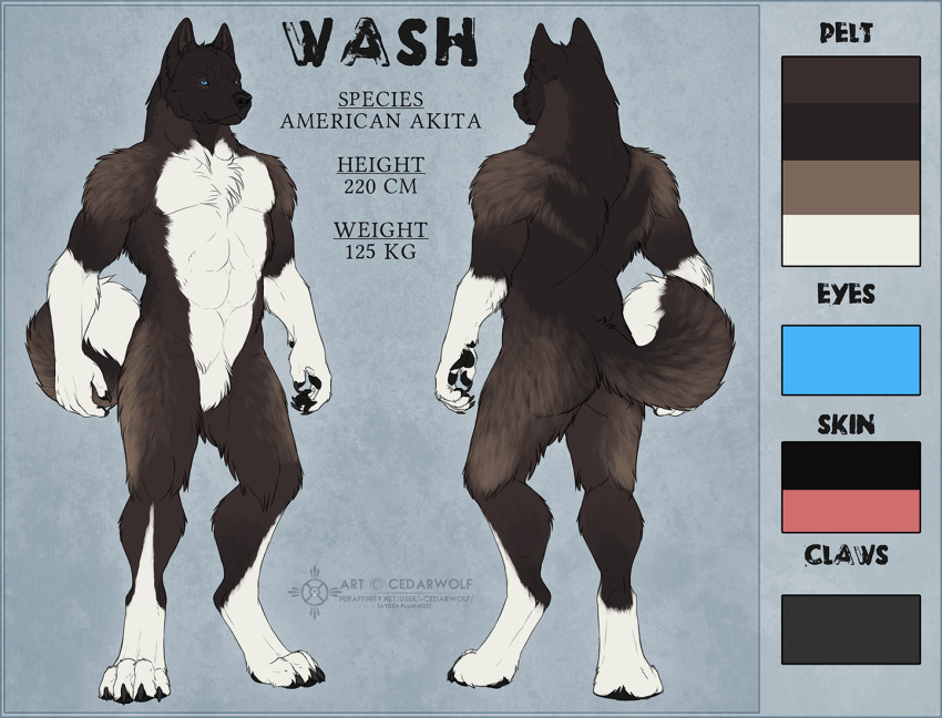 2019 4_toes 5_fingers akita akitawash anthro black_body black_fur black_nose blue_eyes butt canid canine canis cedarwolf claws digitigrade domestic_dog fingers fur male mammal muscular nude solo spitz toes white_body white_fur
