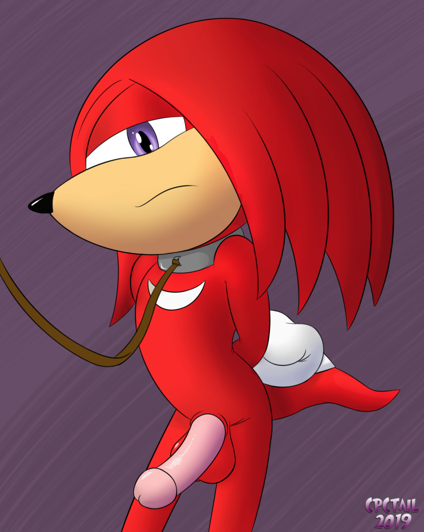 balls cpctail echidna hi_res humanoid_penis knuckles_the_echidna leash male mammal monotreme penis pet sonic_the_hedgehog_(series)