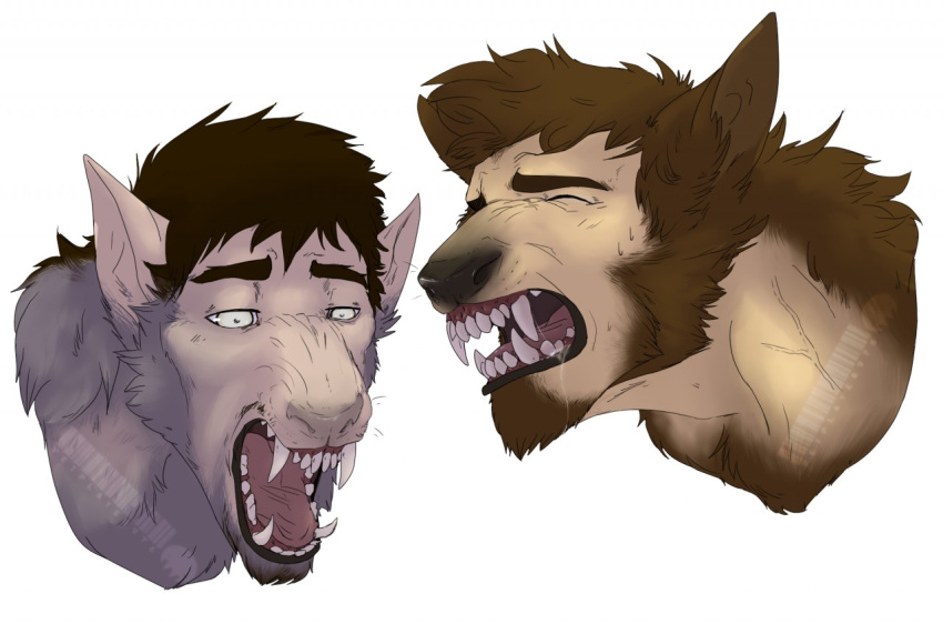 canid canine headshot human male mammal petplayer976 snout takamurra44 tongue tongue_out transformation were werecanid werecanine werewolf