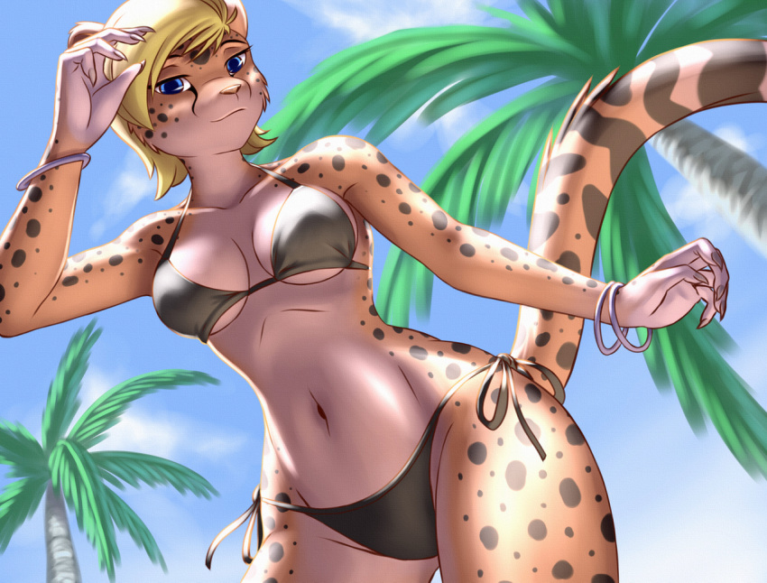 2017 5_fingers anthro bikini biped black_bottomwear black_clothing black_topwear blonde_hair blue_eyes blue_sky bottomwear bracelet breasts charlotte_(sapphire-emeraldbolt) cheetah claws clothed clothing day detailed_background digital_media_(artwork) felid feline female fingers front_view fully_clothed fur hair jewelry leaning leaning_forward looking_at_viewer looking_down low-angle_view mammal midriff multicolored_body navel nipple_outline outside pak009 palm_tree pinup pose raised_tail shaded short_hair sky soft_shading solo spots spotted_body spotted_fur swimwear tan_body tan_fur topwear tree