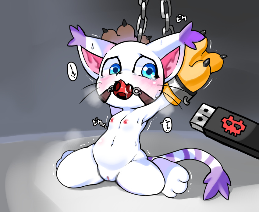 anthro ball_gag bodily_fluids censored chain computer_virus digimon digimon_(species) female gag gatomon hi_res japanese_text mosaic_censorship nipples pussy semi-anthro solo sweat text usb_drive