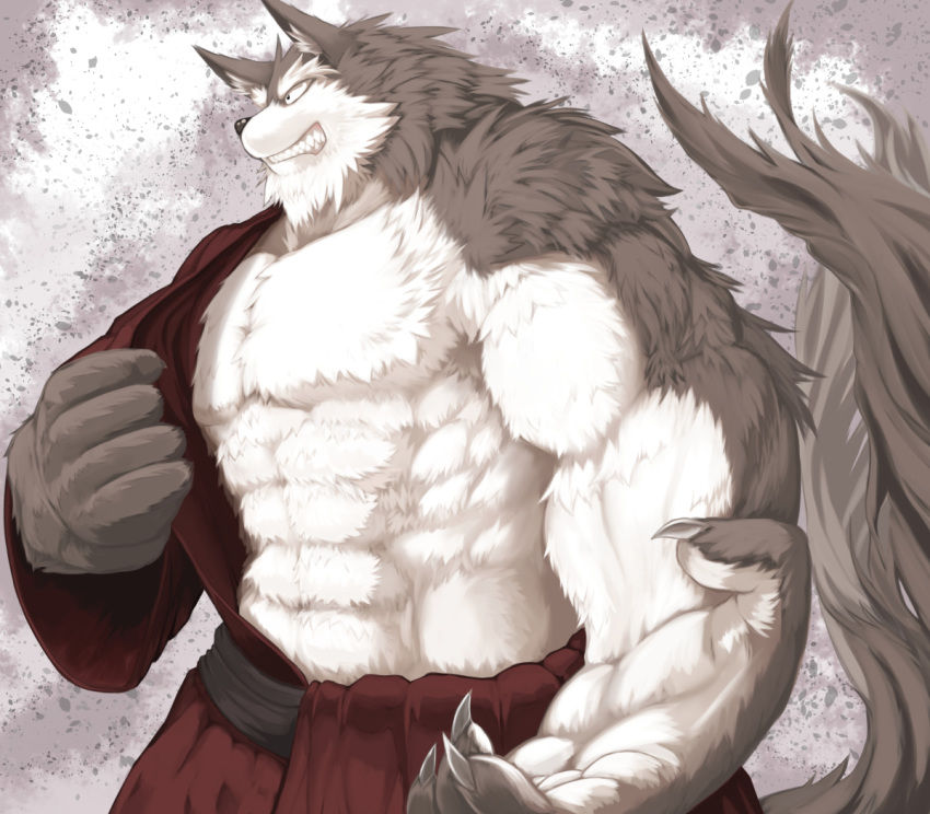 2014 anthro canid canine clothing humanoid_hands male mammal mitei mti777 muscular pecs robe