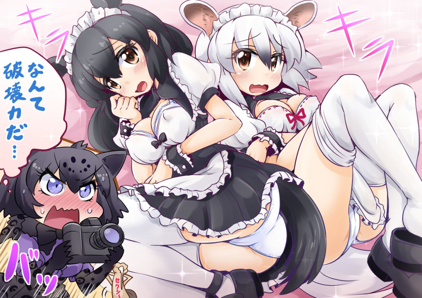 3girls alternate_costume animal_ears animal_print anteater_ears anteater_tail apron ass bangs bare_arms black_hair black_jaguar_(kemono_friends) blue_eyes bow bowtie breasts brown_eyes cameltoe camera center_opening chibi covered_nipples elbow_gloves embarrassed enmaided extra_ears eyebrows_visible_through_hair frilled_apron frilled_skirt frills furrowed_eyebrows gloves hair_between_eyes hand_to_own_mouth highres holding holding_camera jaguar_ears jaguar_print kemono_friends long_hair lying maid maid_apron maid_headdress malayan_tapir_(kemono_friends) medium_breasts medium_hair microskirt multicolored_hair multiple_girls on_back on_side open_mouth print_gloves print_skirt puffy_short_sleeves puffy_sleeves sekiguchi_miiru shirt short_sleeves sidelocks skindentation skirt skirt_set southern_tamandua_(kemono_friends) sparkle tail tamandua_ears tamandua_tail tapir_tail thighhighs translation_request twisted_torso two-tone_hair v-shaped_eyebrows waist_apron wavy_mouth white_hair white_legwear wrist_cuffs
