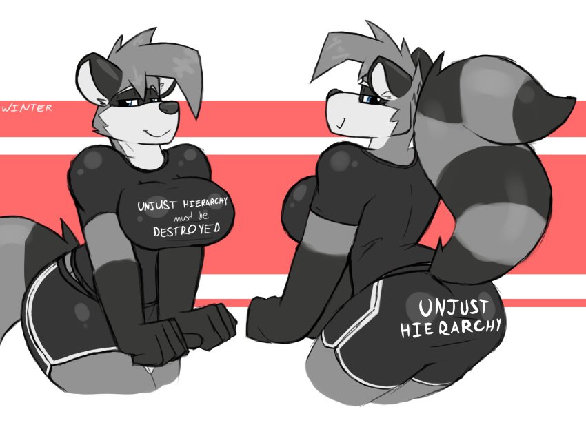 2019 anthro big_breasts black_body black_fur breasts butt clothed clothing female fur grey_body grey_fur hi_res humor mammal pose procyonid raccoon shirt simple_background smile solo standing t-shirt text topwear winter_(artist)