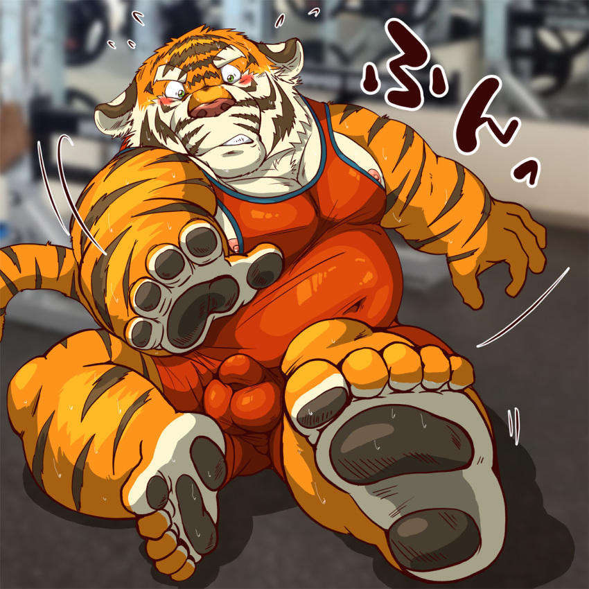 2019 anthro belly blush bulge felid humanoid_hands japanese_text male mammal moobs nipples overweight overweight_male pantherine penis_outline raichoclub sitting solo text tiger wrestling_singlet