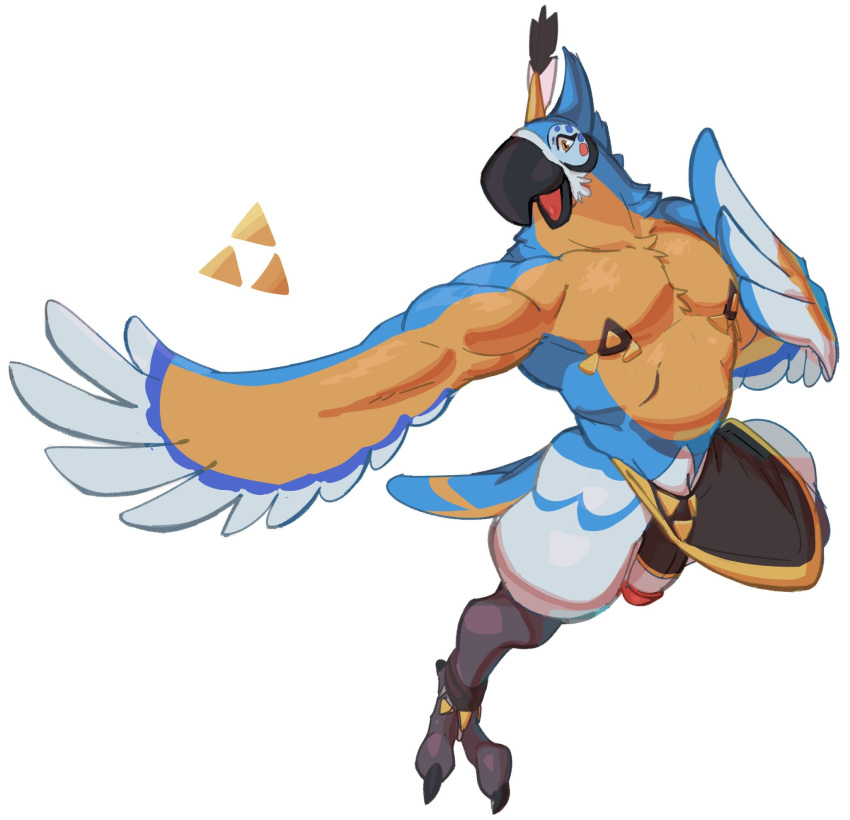 anthro avian breath_of_the_wild clothed clothing dangpa humanoid_penis kass_(tloz) male nintendo partially_clothed penis rito simple_background smile solo talons the_legend_of_zelda video_games white_background