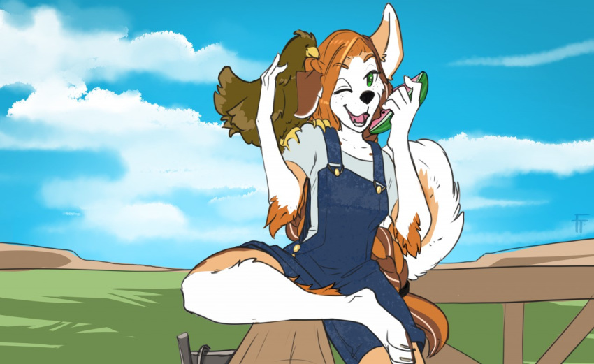 2019 5_fingers anthro avian bird chicken clothed clothing day detailed_background duo female fingers firetally galliform gallus_(genus) green_eyes open_mouth outside phasianid sitting sky solo teeth toes tongue