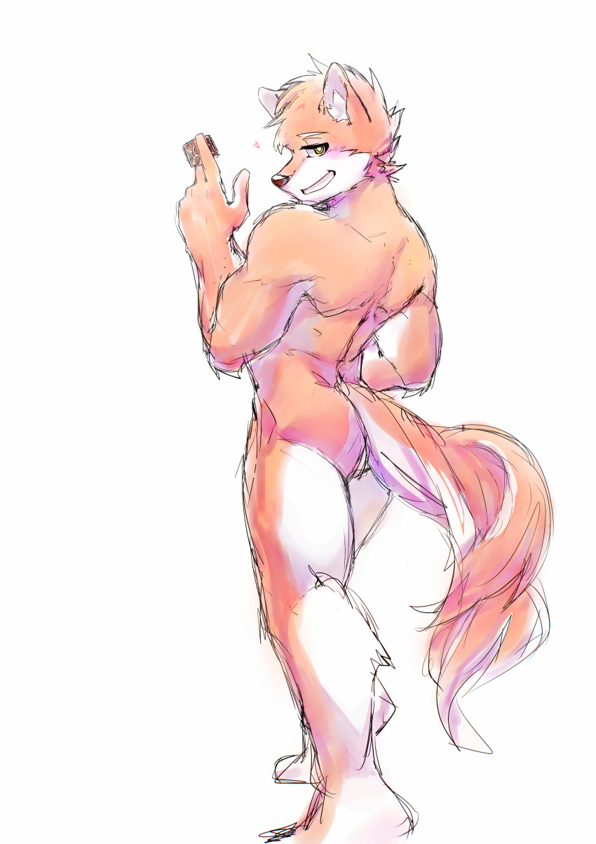 &lt;3 2019 absurd_res anthro bedroom_eyes blush butt canid canine canis condom domestic_dog fur green_eyes grin hi_res looking_at_viewer looking_back male mammal muscular narrowed_eyes nude orange_body orange_fur rear_view seductive simple_background sketch smile solo white_background white_body white_fur yu_(gino990818)