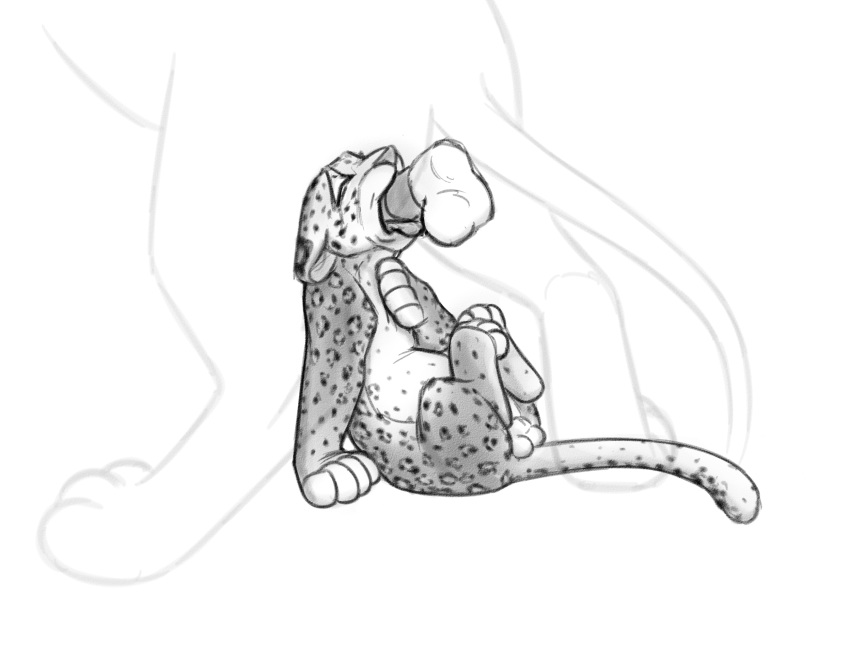 2016 animal_genitalia balls big_dom_small_sub cub duo eyes_closed faceless_male felid fellatio feral feral_on_feral fully_sheathed hi_res leopard lion male male/male mammal meowz monochrome oral pantherine penile penis sex sheath simple_background size_difference sketch solo_focus the_giant_hamster white_background young