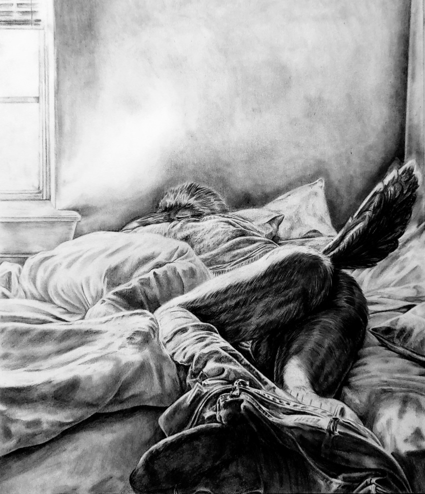 2020 anthro ass_up avian backsack balls bird bottomless butt clothed clothing corvid corvus_(genus) detailed eyes_closed graphite_(artwork) hi_res lying male on_front partially_clothed pencil_(artwork) pinup pose presenting raven realistic sinful_ink_(artist) sleeping solo traditional_media_(artwork)