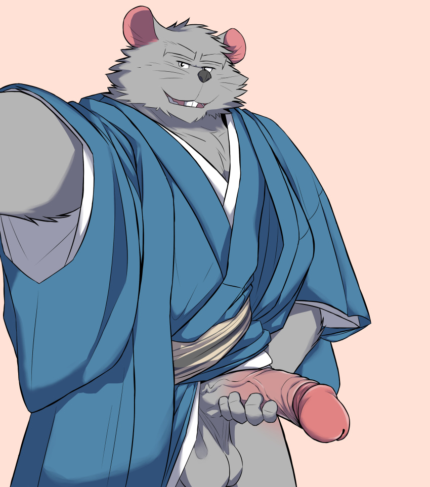absurd_res anthro asian_clothing big_penis clothed clothing east_asian_clothing hi_res humanoid_penis japanese_clothing kimono male mammal masturbation murid murine muscular muscular_male penile penile_masturbation penis philljonskimax r18 rat rodent solo