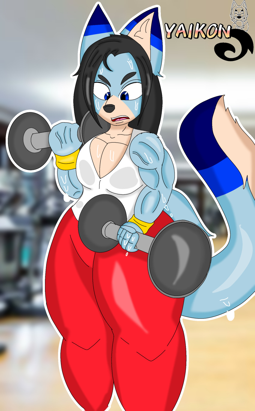 2020 anthro black_hair blue_body blue_eyes blue_fur bodily_fluids canid canine clothing exercise fur gym hair legwear long_hair male mammal markings muscular muscular_male shirt solo sweat tank_top thick_thighs tights topwear weightlifting weights wet wet_clothing workout wristband ya1k0n