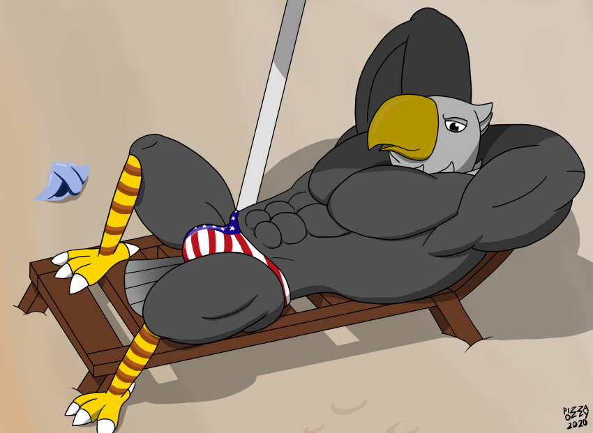 accipitrid accipitriform animal_crossing anthro apollo_(animal_crossing) avian bald_eagle beach beak bird bulge clothing eagle looking_at_viewer male nintendo outside pizzaozzy_(artist) sand sea_eagle seaside smile solo speedo stars_and_stripes swimwear united_states_of_america video_games