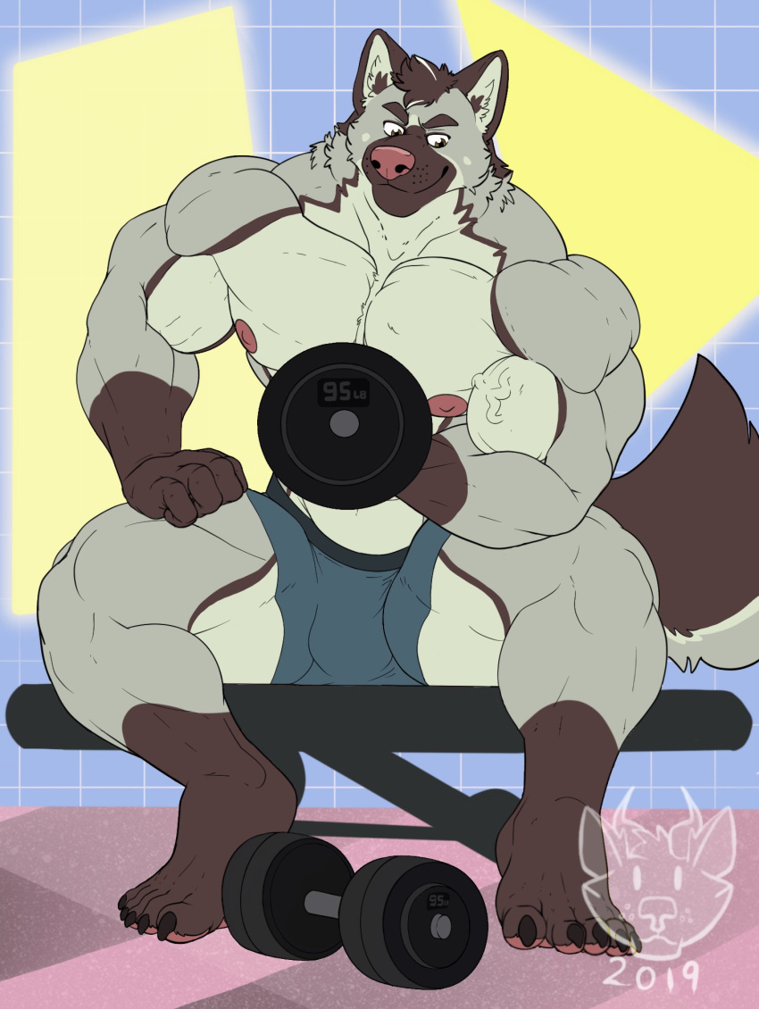 2019 4_toes 5_fingers anthro biceps big_muscles black_claws bottomwear brown_body brown_eyes brown_fur build-a-wuff bulge canid canine canis claws clothed clothing domestic_dog dumbbell exercise fingers fur grey_body grey_fur gym male mammal multicolored_body multicolored_fur muscular muscular_male nipples pawpads pecs pink_nipples pink_nose quads shorts sitting solo toes topless veiny_muscles weightlifting weights white_body white_fur workout