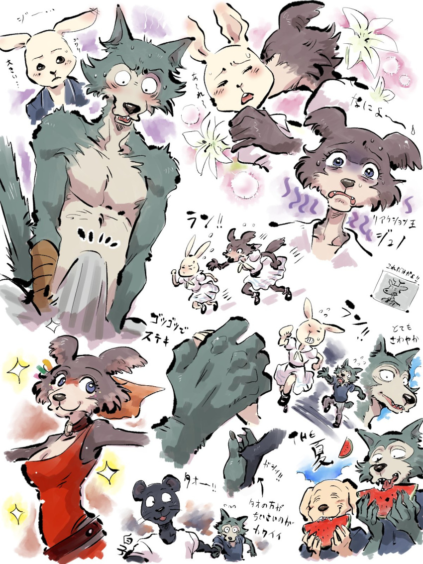 beastars better_version_at_source black_body black_fur black_nose blue_eyes blush bodily_fluids brown_body brown_fur bulge canid canine canis cervid chasing clothed clothing domestic_dog dress eating felid female flower food fruit fur grey_body grey_fur group hand_holding haru_(beastars) hi_res jack_(beastars) japanese_text juno_(beastars) lagomorph legoshi_(beastars) leporid louis_(beastars) male mammal melon multicolored_body multicolored_fur pantherine plant rabbit running shirako sniffing sweat sweatdrop tao_(beastars) tenting text watermelon white_body white_fur wolf