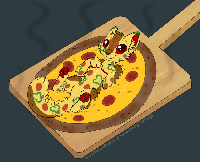 domestic_cat felid feline felis felisrandomis female feral food looking_at_viewer mammal pie_(cat) pizza pizza_markings pizza_paddle