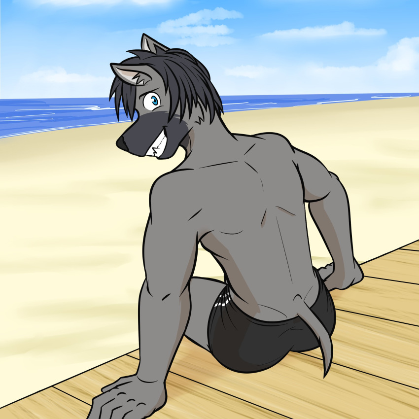 anthro athletic bare_back beach canid canine canis clothed clothing domestic_dog fuze looking_at_viewer looking_back male mammal seaside sitting solo speedo swimwear topless warren_(fuze)