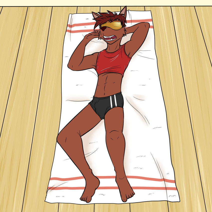 anthro bulge canid canine clothed clothing crop_top eyes_closed fuze lying male mammal midriff navel on_back on_towel shirt solo speedo sunbathing swimwear topwear towel visor