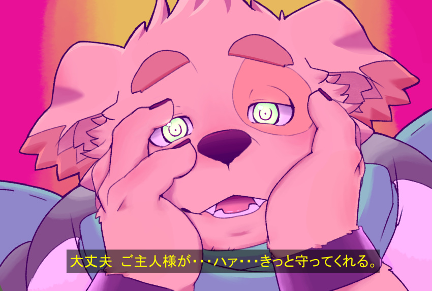 2017 abstract_background alternate_version_at_source anthro canid canine canis clothed clothing cu_sith_(tas) dialogue digital_media_(artwork) domestic_dog fur future_diary hi_res japanese japanese_text kemono looking_at_viewer male mammal open_mouth parody pink_body pink_fur rei_illustrator simple_background solo text tokyo_afterschool_summoners translated video_games yandere