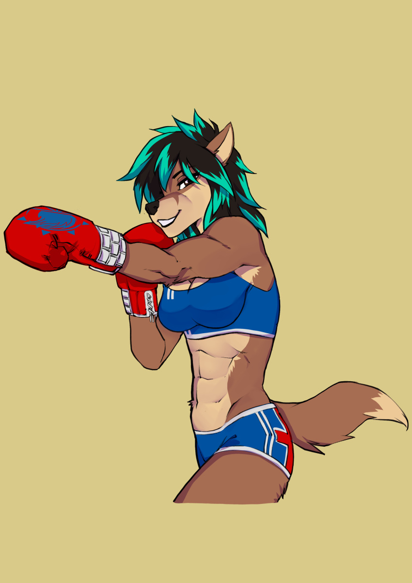 2019 abs absurd_res anthro audlin black_hair black_nose bottomwear boxing boxing_gloves bra breasts brown_eyes canid canine canis clothing coyote digital_media_(artwork) dipstick_tail eyebrows eyelashes female fur green_hair hair half-closed_eyes handwear hi_res looking_at_viewer lotusgarden mammal midriff multicolored_hair multicolored_tail narrowed_eyes navel shorts simple_background smile solo sport sports_bra tan_body tan_fur two_tone_hair underwear