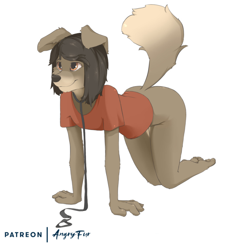 1:1 all_fours angryfur anthro brown_hair canid canine canis clothing domestic_dog female fur hair mammal patreon shirt smile solo topwear