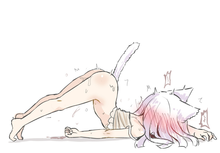 1girl animal_ear_fluff animal_ears artist_request ass barefoot blue_eyes blush bottomless camisole cat_ears cat_tail faceplant in_heat kneepits legs original outstretched_legs presenting pussy_juice see-through short_hair simple_background solo strap_slip tail thighs top-down_bottom-up white_background white_hair