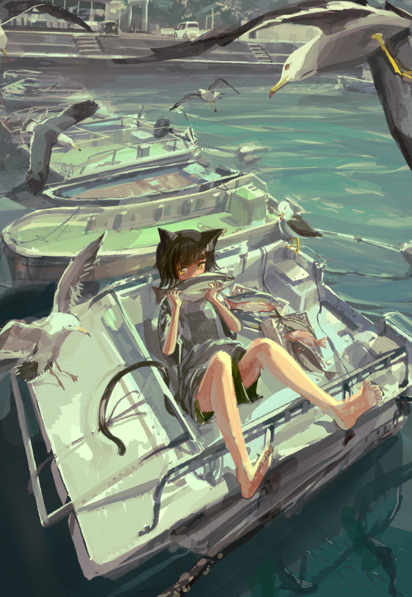 1girl absurdres animal_ears barefoot bird blush boat cat_ears cat_tail dock eating fish highres holding_fish katakai ocean original outdoors seagull short_hair shorts summer tail water watercraft yellow_eyes