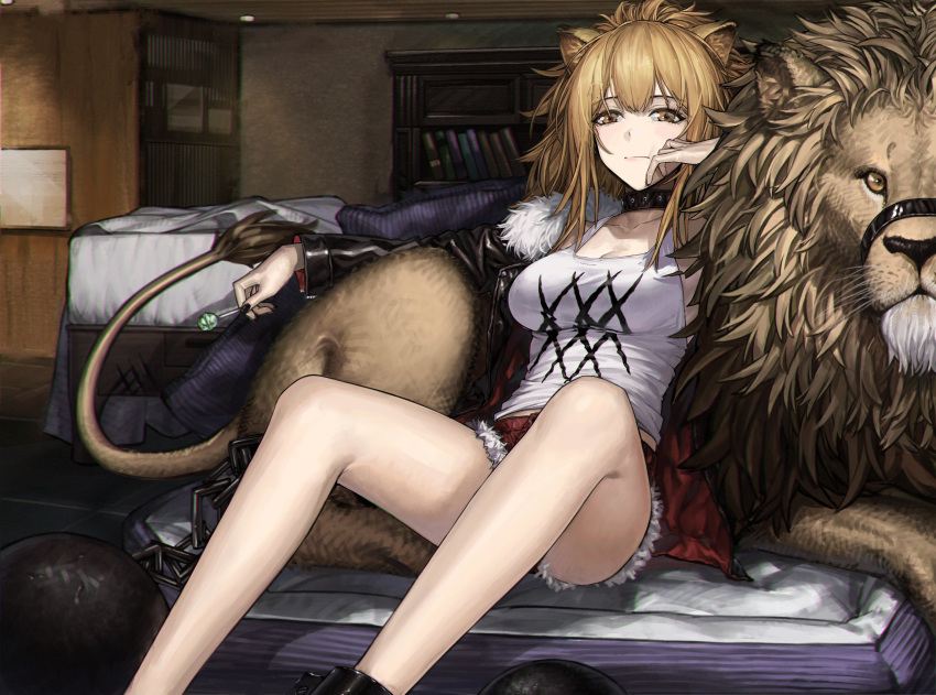 1girl absurdres animal_ears arknights ball_and_chain_restraint breasts brown_eyes brown_hair candy cleavage collar cuffs cutoffs food fur_trim highres indoors jacket large_breasts lion lollipop long_hair muzzle nail_polish open_clothes open_jacket qiongsheng shackles short_shorts shorts sidelocks siege_(arknights) sitting solo tank_top