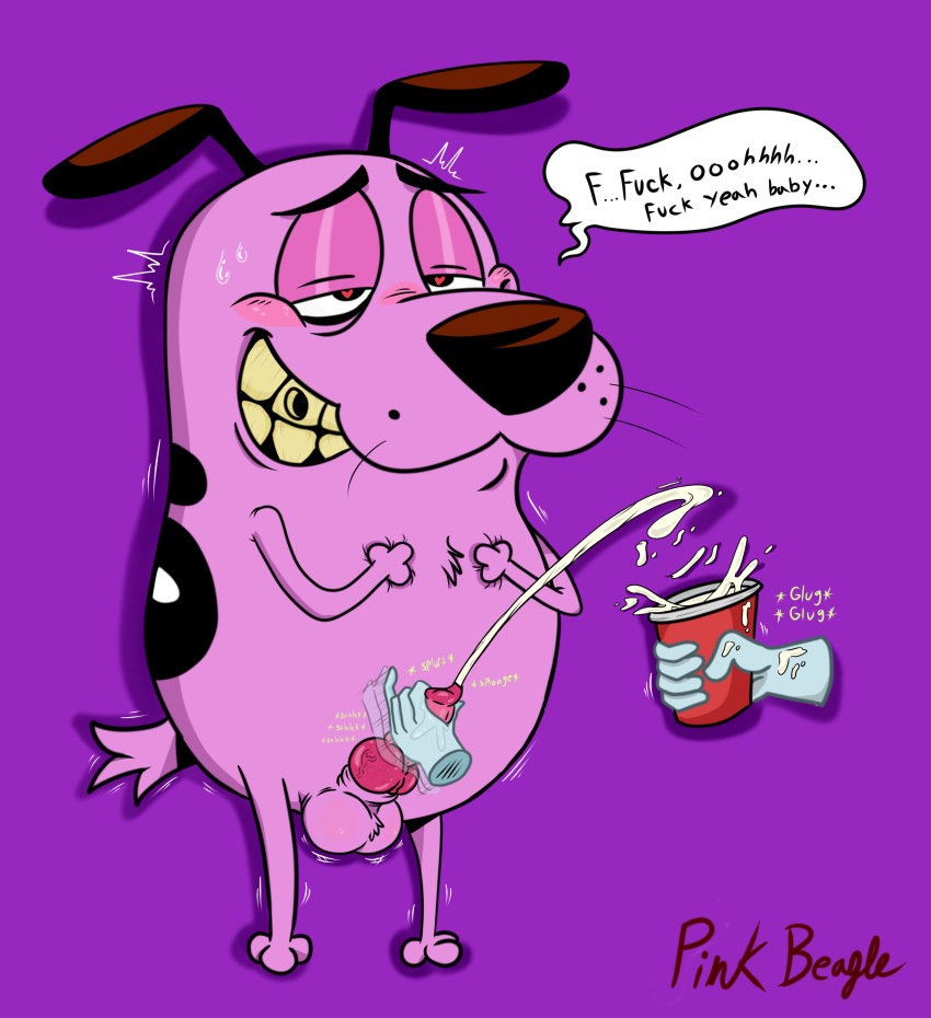 &lt;3 &lt;3_eyes 2018 3_fingers 3_toes absurd_res animal_genitalia animal_penis anthro balls bodily_fluids canid canine canine_penis canis cartoon_network courage_the_cowardly_dog courage_the_cowardly_dog_(character) cum cum_on_hand cumshot disembodied_hand disposable_cup domestic_dog duo ejaculation english_text erection fingers front_view genital_fluids genitals hi_res male mammal orgasm penis pink_body purple_background shaking signature simple_background solo_focus speech_bubble standing sweat text thepinkbeagle toes vein veiny_penis