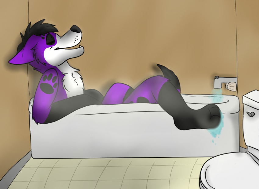 anthro bath canid canine canis domestic_dog elkhound invalid_color male mammal pawalo paws relaxing spitz