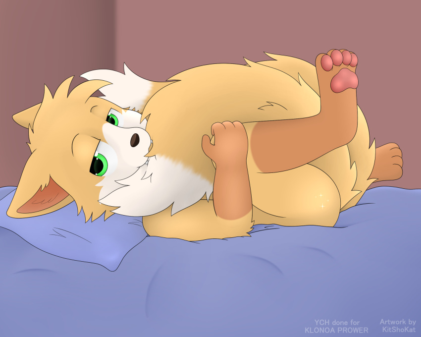 bed bite canid canine cub fox furniture invalid_tag kitshokat klonoa_prower klonoaprower male mammal simple_background solo twotails young