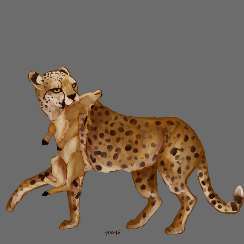 1:1 2017 absurd_res cervid cheetah dfuo digital_media_(artwork) duo felid feline feral fur grey_background hi_res mammal paws simple_background spots spotted_body spotted_fur yessys