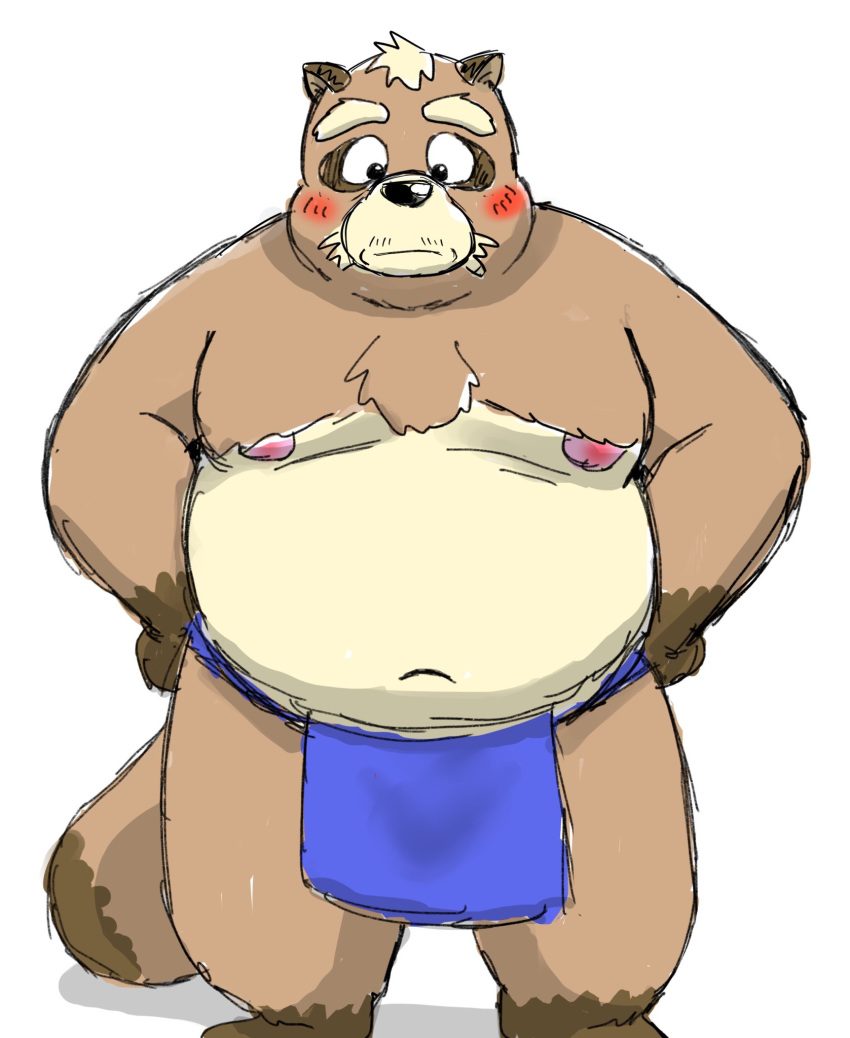 2020 anthro asian_clothing belly blush brown_body brown_fur bullbluedog canid canine clothing east_asian_clothing fundoshi fur hi_res humanoid_hands japanese_clothing kemono male mammal moobs navel nipples overweight overweight_male raccoon_dog simple_background solo tanuki underwear white_background