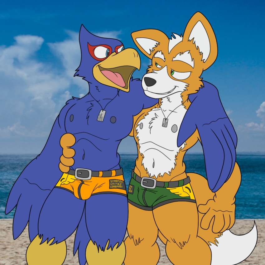 1:1 avian beach bottomwear boxer_briefs bulge canid canine clothed clothing duo english_text falco_lombardi fox fox_mccloud hi_res how-did-we-get-here male mammal nintendo seaside star_fox text topless underwear video_games