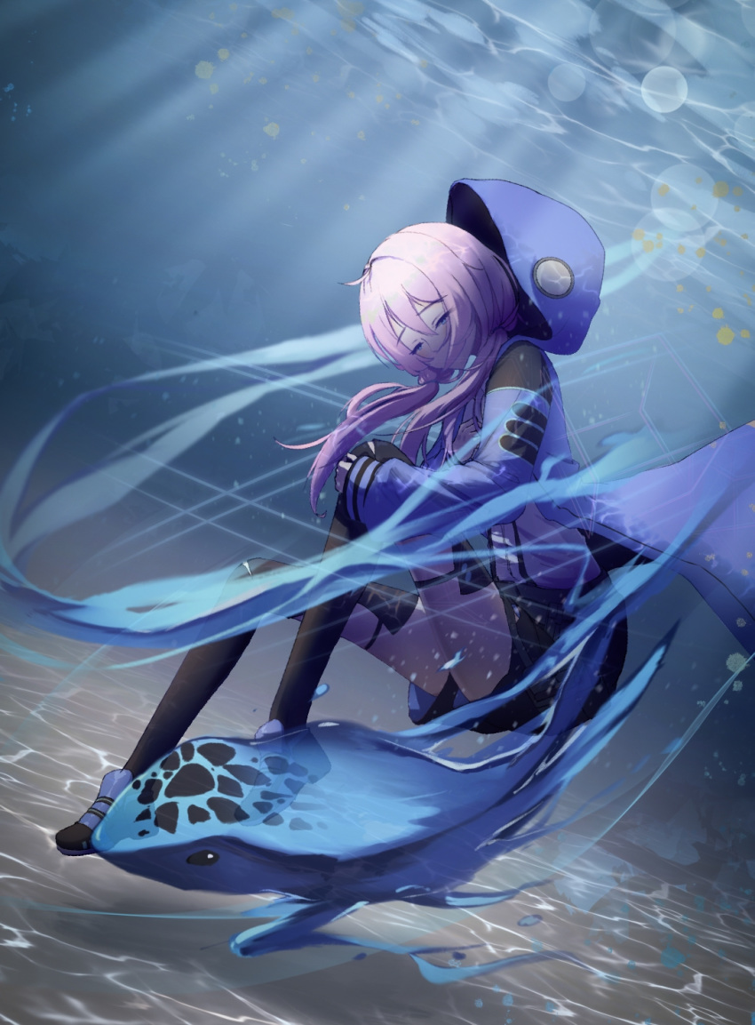 1girl arknights blue_eyes blue_jacket blue_poison_(arknights) caisena dress_shirt elite_ii_(arknights) frog frog_eyes highres hood hoodie jacket knee_up light_rays light_reflection_(water) looking_at_viewer narrowed_eyes pink_hair sand shallow_water shirt shorts solo_focus thighhighs thighs twintails underwater