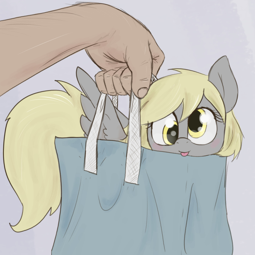 1:1 2020 5_fingers bag derpy_hooves_(mlp) disembodied_hand duo equid equine eyelashes feral fingers friendship_is_magic hi_res looking_at_viewer mammal my_little_pony pterippus simple_background smile solo_focus t72b wings