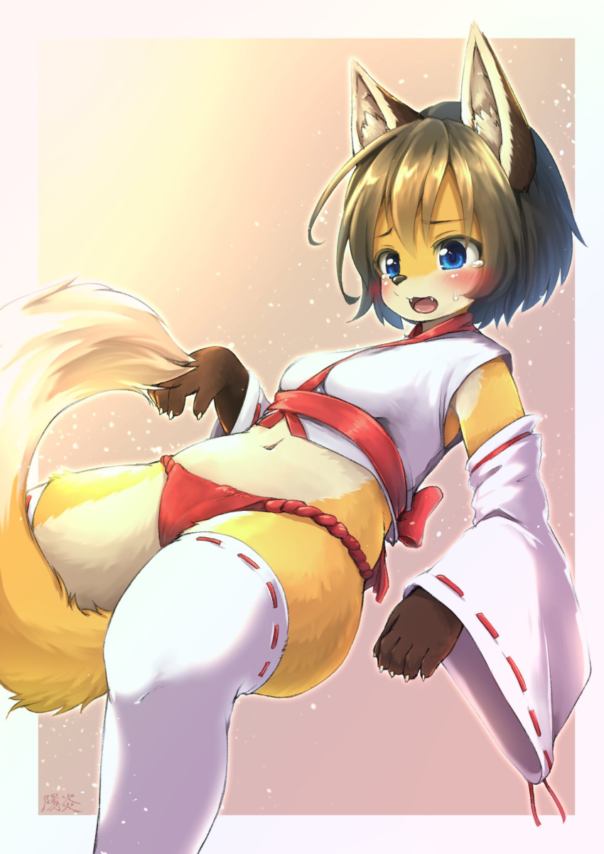 anthro armwear asian_clothing blue_eyes blush bodily_fluids canid canine clothing detached_sleeves east_asian_clothing embarrassed fox fundoshi hi_res japanese_clothing kemono legwear mammal navel open_mouth shiitakemeshi solo tears thigh_highs underwear white_clothing white_legwear