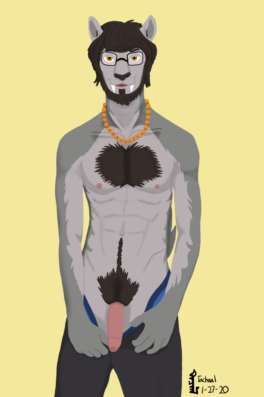 absurd_res asian_mythology body_hair canid canine chest_hair east_asian_mythology eyewear facial_hair foo_dog genitals glasses happy_trail hi_res male mammal muscular mythology penis skinny solo tachaal uncut