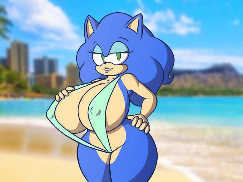 2015 4:3 absurd_res anthro big_breasts breasts cleavage clothed clothing crossgender digital_media_(artwork) erect_nipples eulipotyphlan female hedgehog hi_res huge_breasts looking_at_viewer mammal mtf_crossgender nipple_outline nipples skimpy smile solo sonic_the_hedgehog sonic_the_hedgehog_(series) stunnerpony swimwear