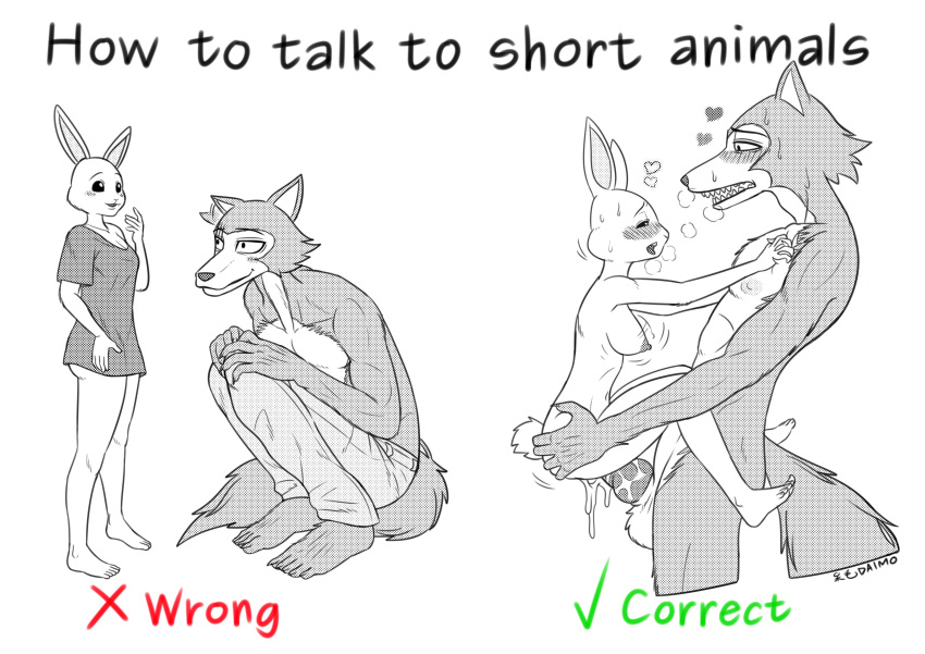&lt;3 absurd_res beastars blush bodily_fluids bottomwear breasts breath canid canine canis clothing cum cum_inside daimo duo fangs female female_penetrated genital_fluids genitals hand_on_butt hand_on_chest haru_(beastars) hi_res humor interspecies knot lagomorph larger_male legoshi_(beastars) leporid looking_at_another male male/female mammal meme nipples nude panting pants penetration penis predator/prey rabbit scar sex shirt size_difference stand_and_carry_position standing standing_sex sweat text topwear wolf