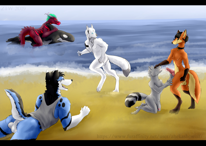 absurd_res auction beach big_(disambiguation) canid canine canis cetacean colored delphinoid digital_media_(artwork) domestic_dog dragon fox fullshaded genitals group group_sex hi_res husky invalid_background invalid_tag its licking love male mammal marine nordic_sled_dog nudist oceanic_dolphin oral orca owo penile penis penis_lick procyonid raccoon seaside sex spitz summer tongue tongue_out toothed_whale wolf ych_(character) zhekathewolf ztw2019